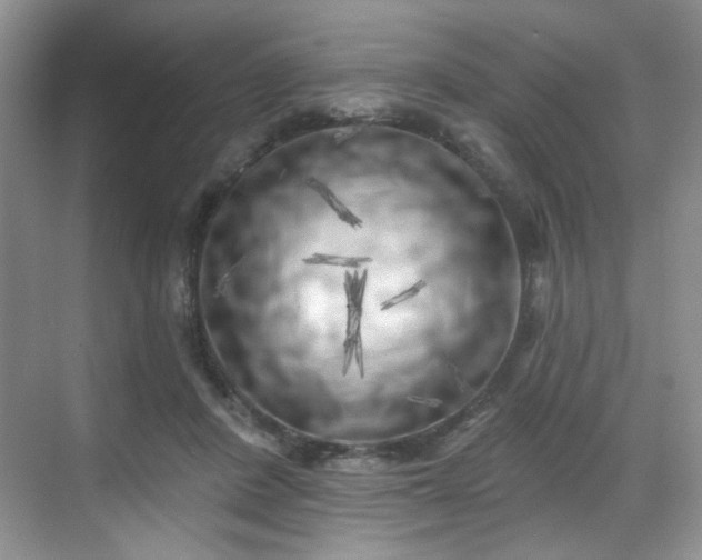 X0000070240408200606091340