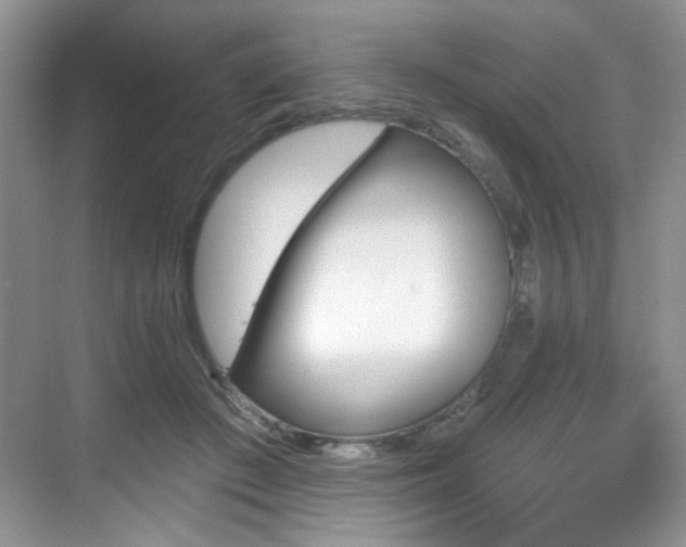 X0000070240409200606091340