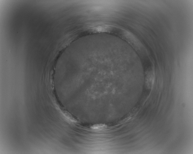 X0000070240410200606091340