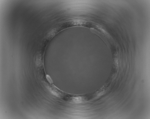 X0000070240411200606091340