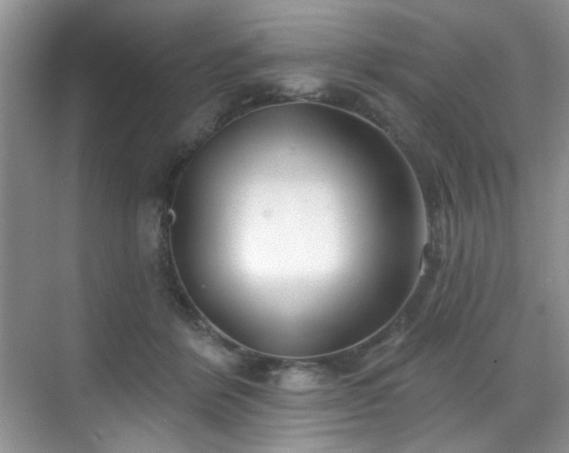 X0000070240412200606091340