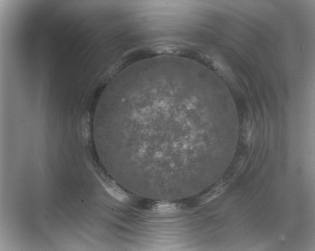 X0000070240413200606091340