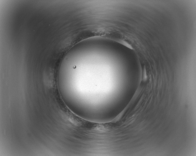 X0000070240416200606091340