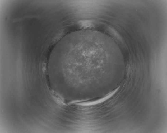 X0000070240417200606091340