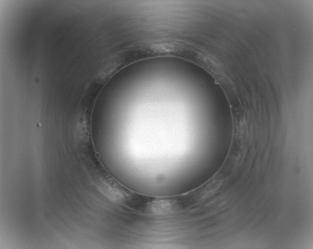 X0000070240418200606091340