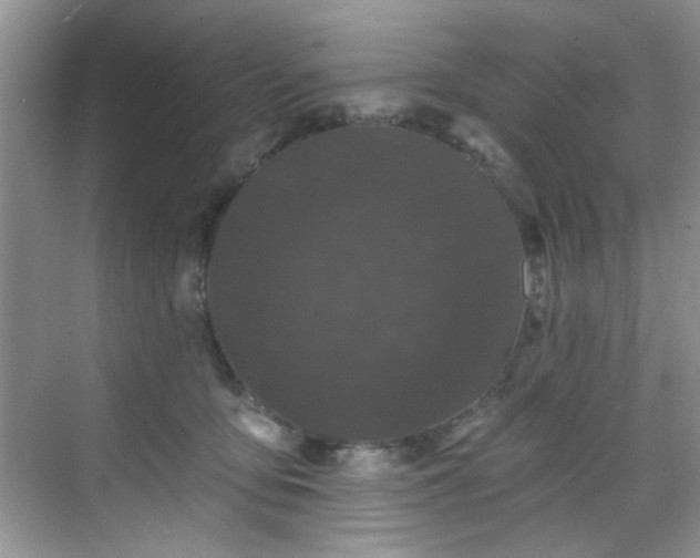 X0000070240419200606091340