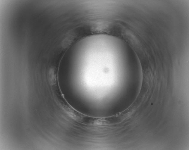 X0000070240420200606091340