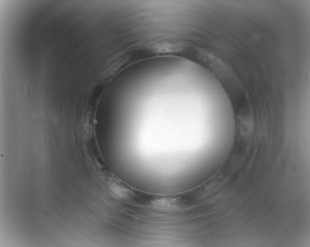 X0000070240422200606091340