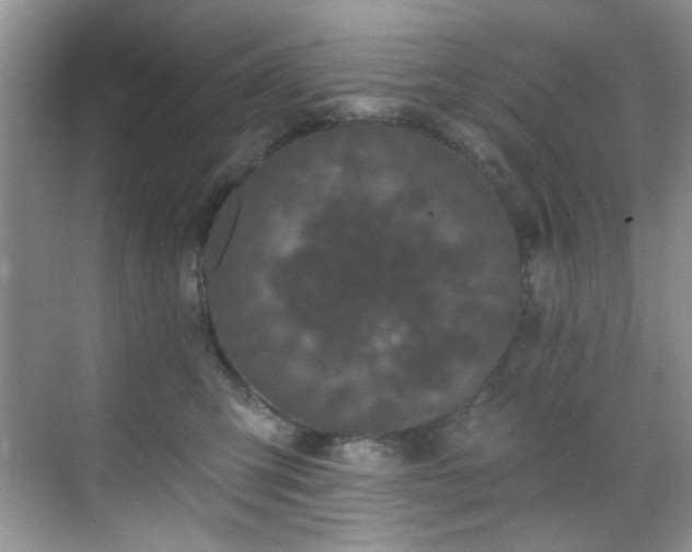 X0000070240423200606091340