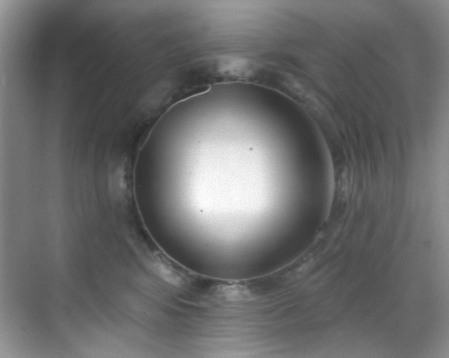 X0000070240424200606091340