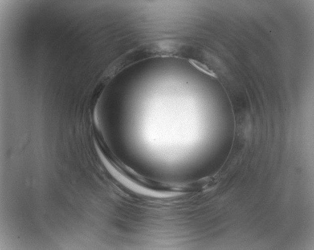 X0000070240425200606091340