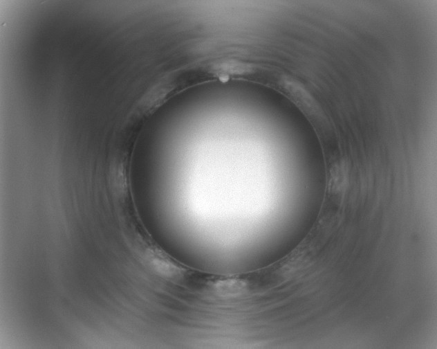 X0000070240426200606091339