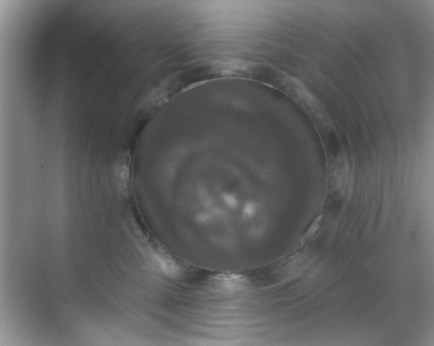 X0000070240427200606091339