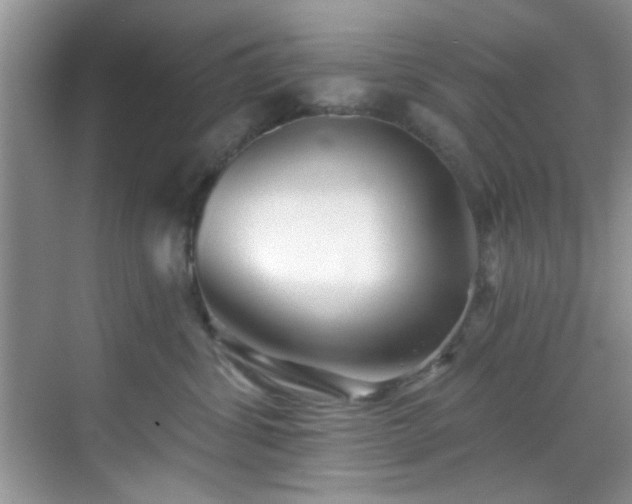 X0000070240428200606091339