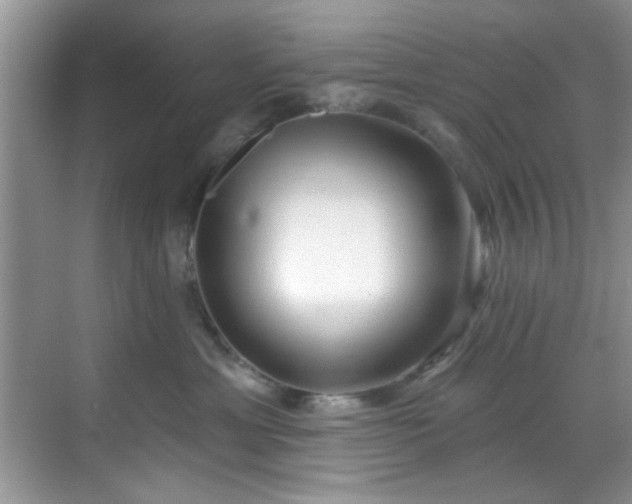 X0000070240429200606091339