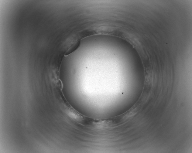 X0000070240430200606091339