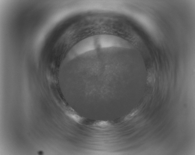 X0000070240431200606091339