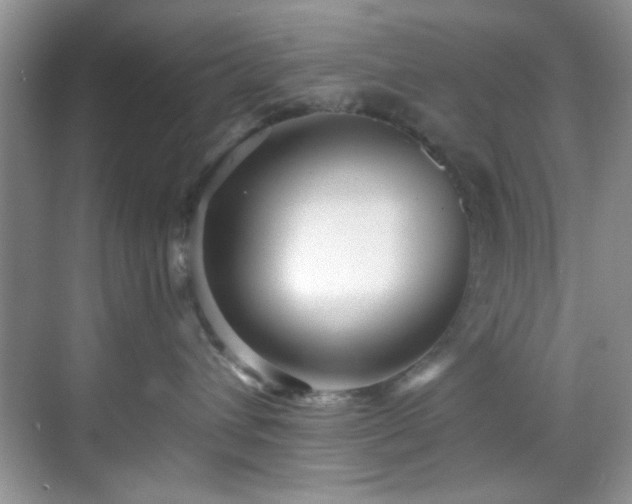 X0000070240432200606091339