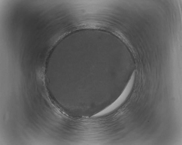 X0000070240434200606091339