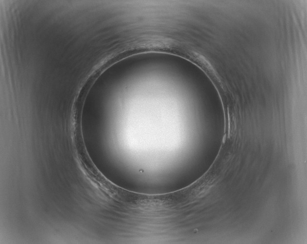 X0000070240435200606091339