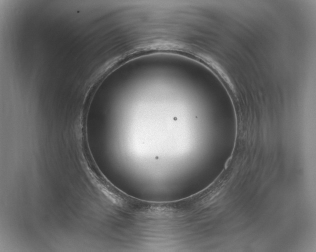 X0000070240437200606091339