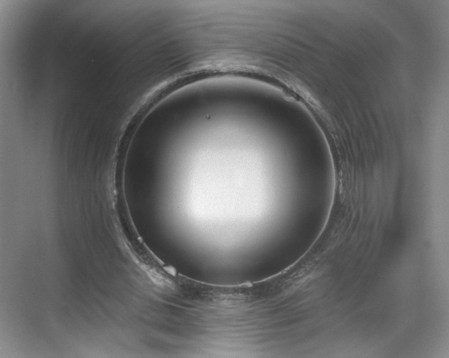 X0000070240438200606091339