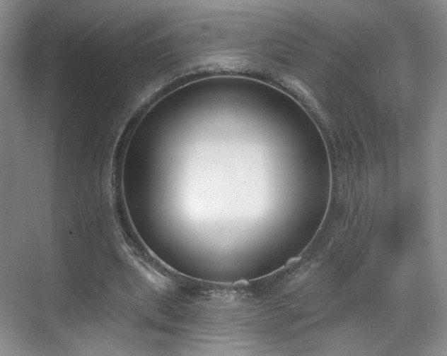 X0000070240439200606091339