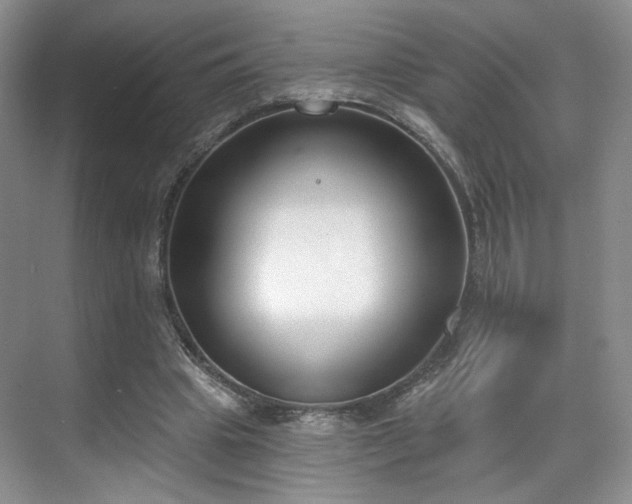 X0000070240441200606091339