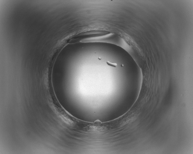 X0000070240442200606091339