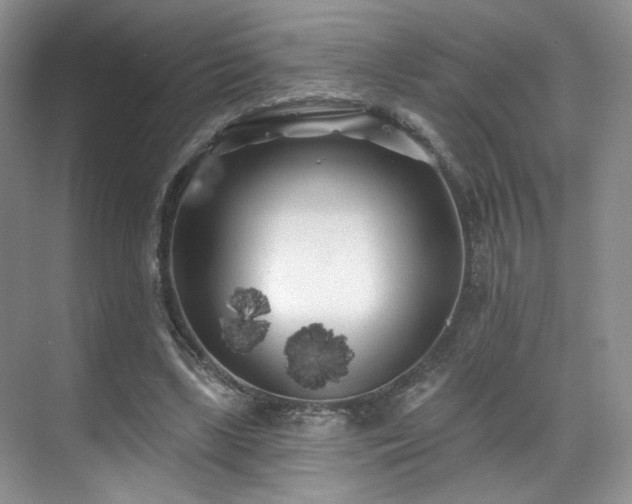 X0000070240443200606091339