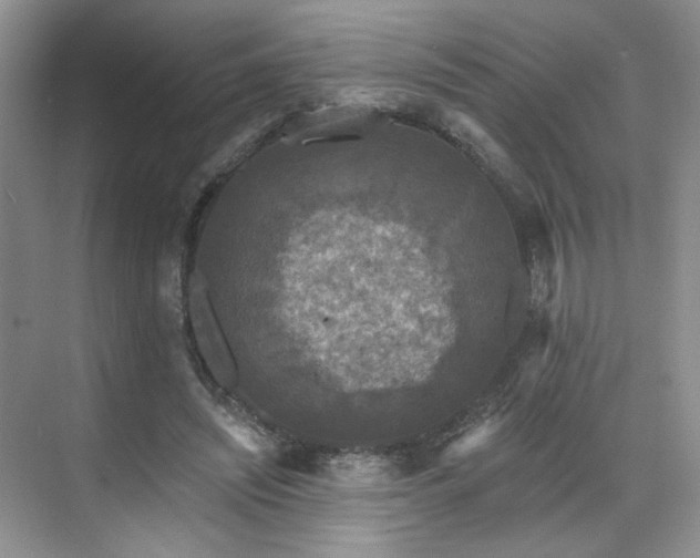 X0000070240444200606091339