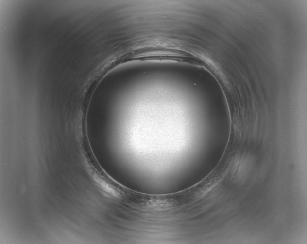 X0000070240445200606091339