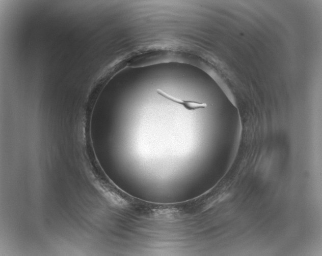 X0000070240446200606091339