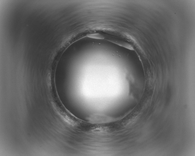 X0000070240447200606091339