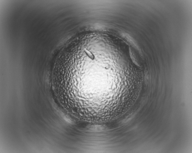 X0000070240449200606091339