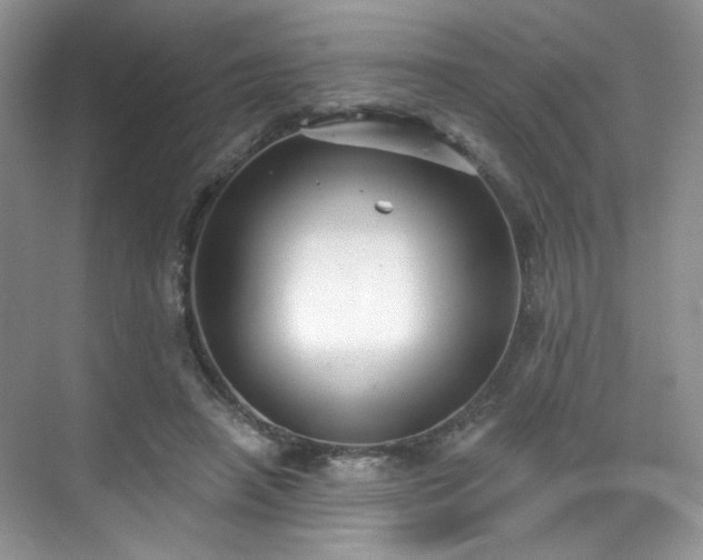 X0000070240450200606091339