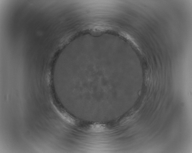 X0000070240451200606091339