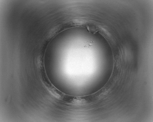 X0000070240455200606091339