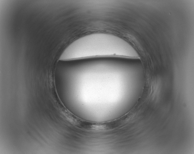 X0000070240457200606091339