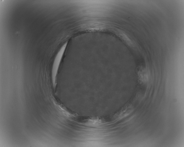 X0000070240458200606091339