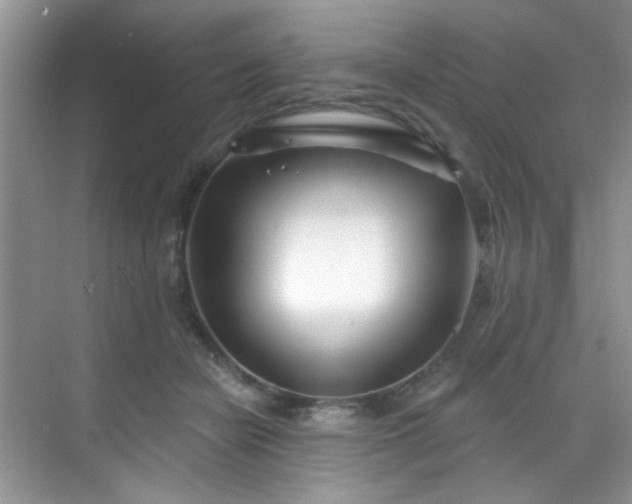 X0000070240462200606091339