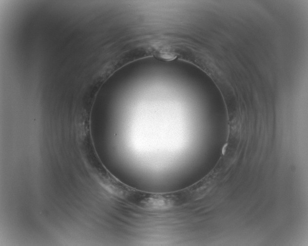 X0000070240464200606091339