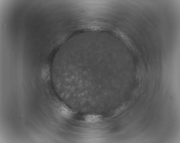 X0000070240465200606091339