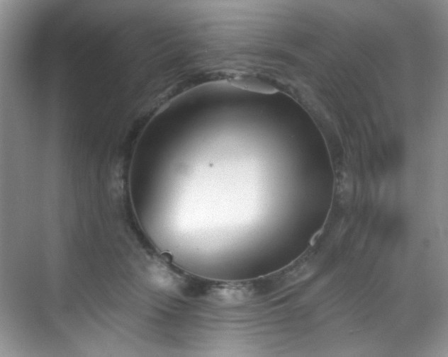 X0000070240466200606091339