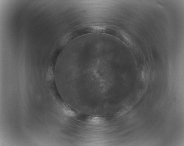 X0000070240467200606091339