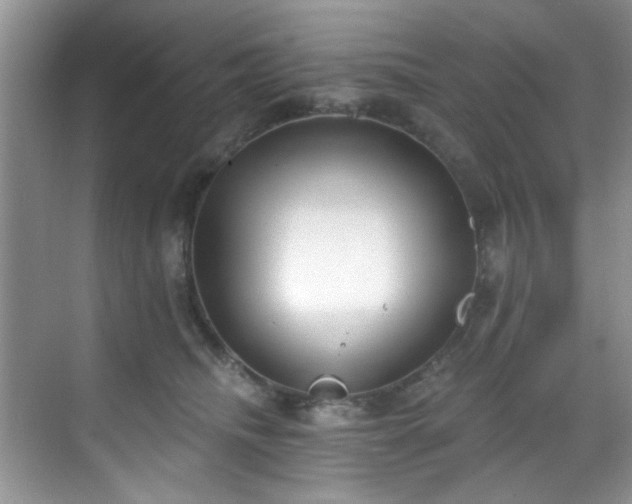 X0000070240468200606091339