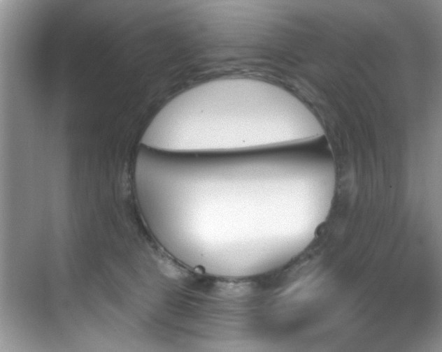 X0000070240469200606091339