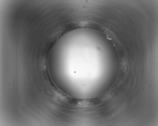 X0000070240470200606091339