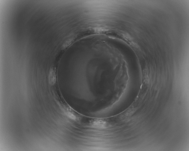 X0000070240471200606091339