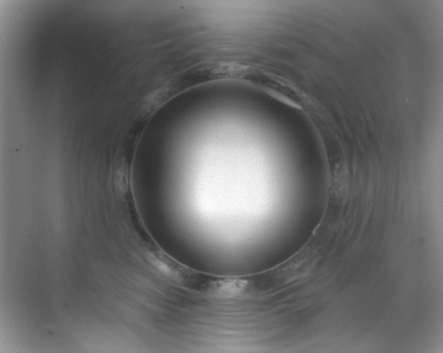 X0000070240474200606091339